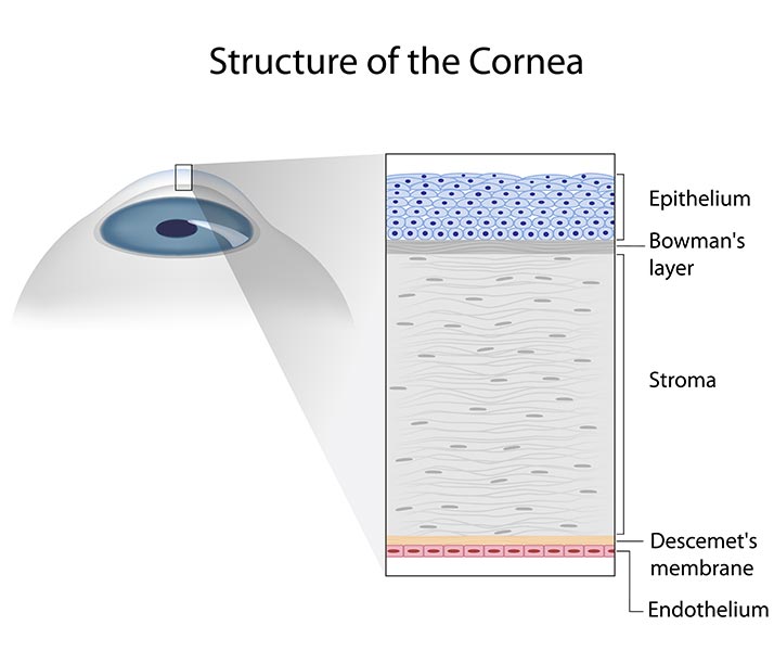 Cornea | Corneal Diseases & Disorders | Cornea Specialist